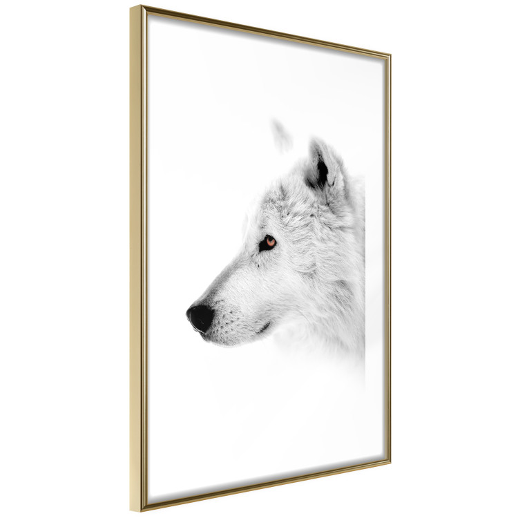 Wall Poster Amber Gaze - portrait of a wolf with a yellow eye on a white background 126293 additionalImage 9