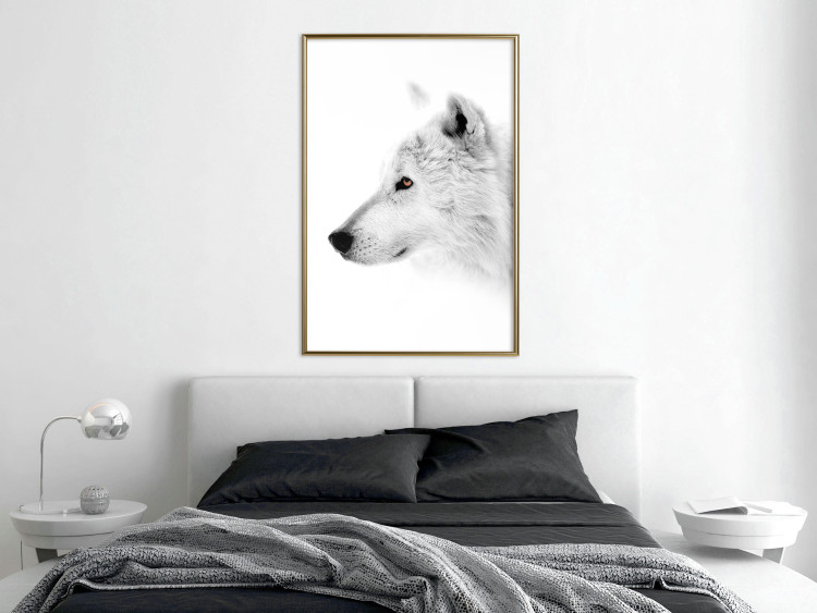 Wall Poster Amber Gaze - portrait of a wolf with a yellow eye on a white background 126293 additionalImage 7