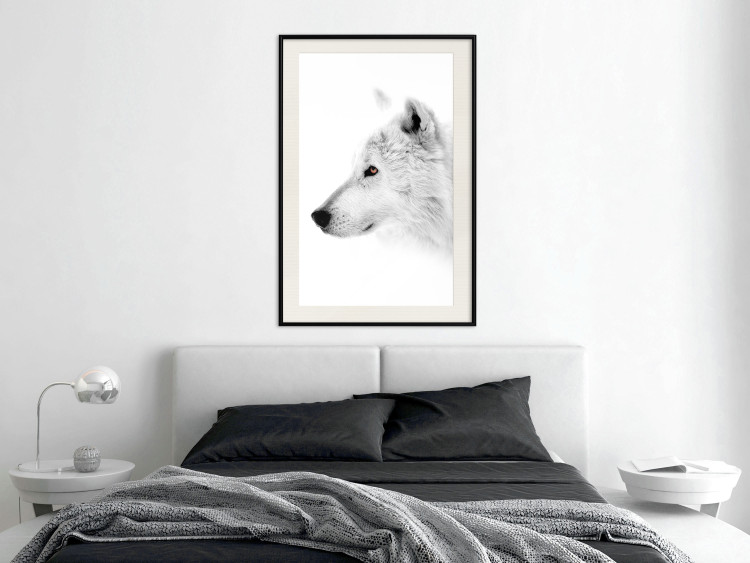 Wall Poster Amber Gaze - portrait of a wolf with a yellow eye on a white background 126293 additionalImage 24