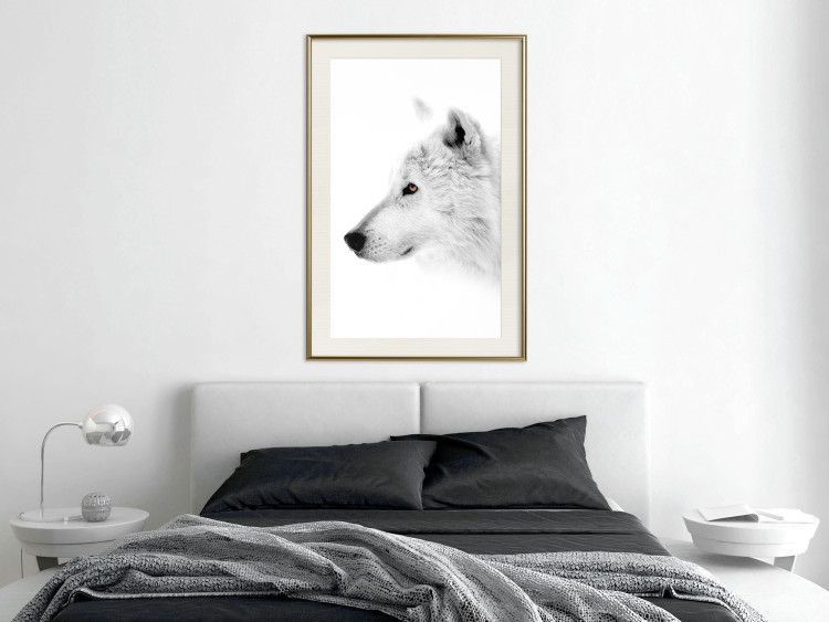 Wall Poster Amber Gaze - portrait of a wolf with a yellow eye on a white background 126293 additionalImage 22