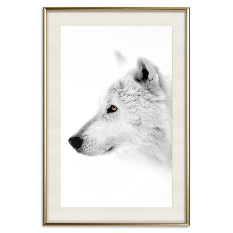 Wall Poster Amber Gaze - portrait of a wolf with a yellow eye on a white background 126293 additionalImage 20