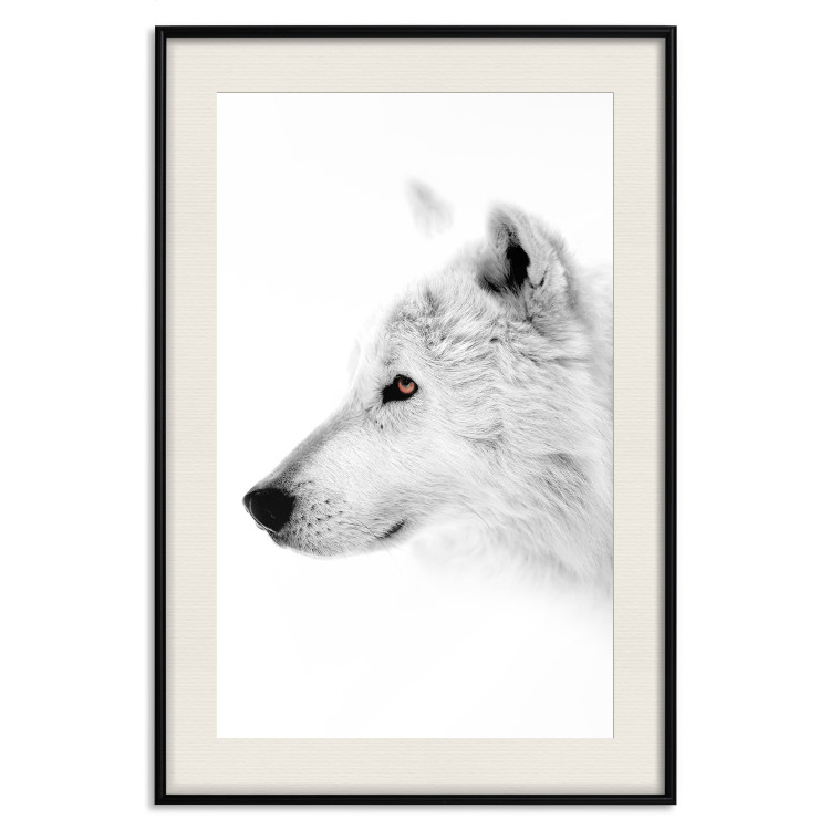 Wall Poster Amber Gaze - portrait of a wolf with a yellow eye on a white background 126293 additionalImage 19