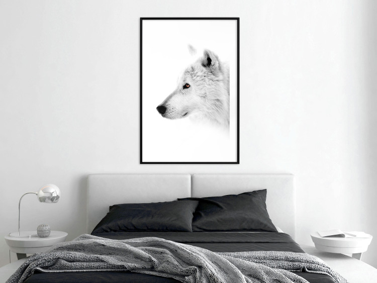 Wall Poster Amber Gaze - portrait of a wolf with a yellow eye on a white background 126293 additionalImage 23