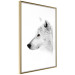 Wall Poster Amber Gaze - portrait of a wolf with a yellow eye on a white background 126293 additionalThumb 9