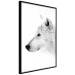 Wall Poster Amber Gaze - portrait of a wolf with a yellow eye on a white background 126293 additionalThumb 13