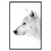 Wall Poster Amber Gaze - portrait of a wolf with a yellow eye on a white background 126293 additionalThumb 18