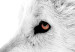 Wall Poster Amber Gaze - portrait of a wolf with a yellow eye on a white background 126293 additionalThumb 12