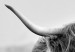 Photo Wallpaper Highland Cattle 126893 additionalThumb 3