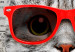 Canvas Cat with Coffee (1-part) vertical - abstract animal in glasses 129093 additionalThumb 5