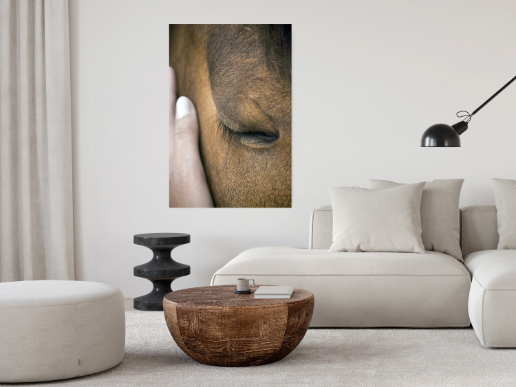 Poster Soothing Touch - human hand gently touching the face of a brown horse 130293 additionalImage 4