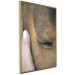 Poster Soothing Touch - human hand gently touching the face of a brown horse 130293 additionalThumb 14