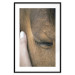 Poster Soothing Touch - human hand gently touching the face of a brown horse 130293 additionalThumb 17