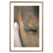 Poster Soothing Touch - human hand gently touching the face of a brown horse 130293 additionalThumb 18