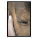Poster Soothing Touch - human hand gently touching the face of a brown horse 130293 additionalThumb 21