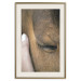 Poster Soothing Touch - human hand gently touching the face of a brown horse 130293 additionalThumb 19