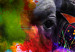 Canvas Art Print African Buffalo (1-piece) Wide - abstraction of a colorful buffalo 130393 additionalThumb 5