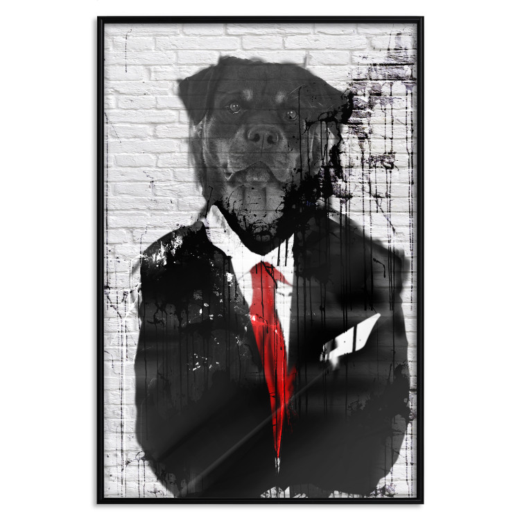 Poster Elegant Rottweiler - abstraction of a dog in a suit on a brick wall 130793 additionalImage 18
