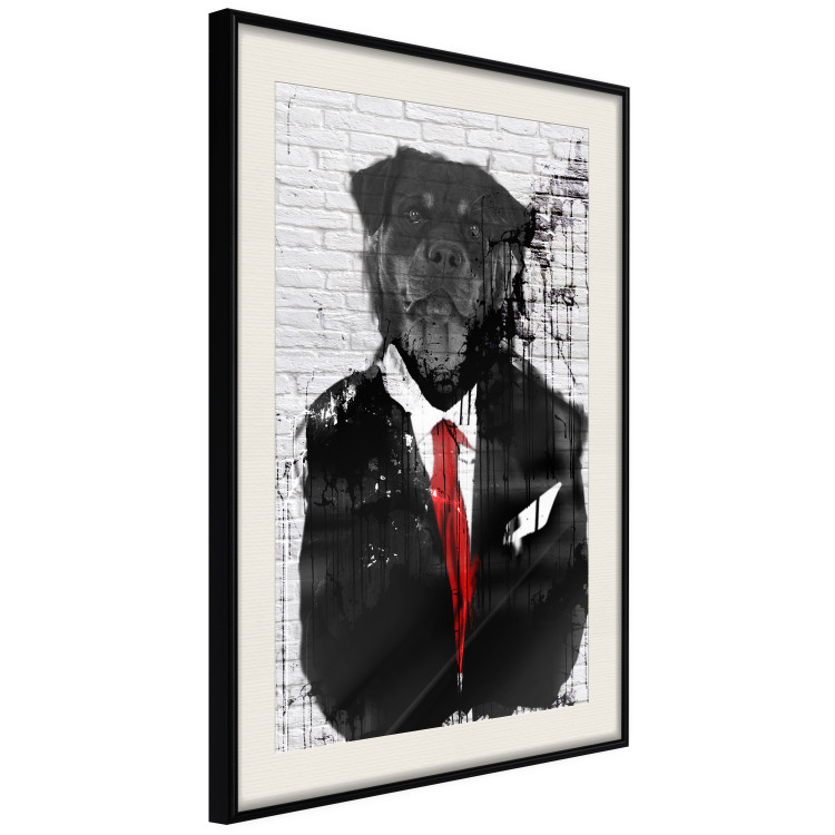 Poster Elegant Rottweiler - abstraction of a dog in a suit on a brick wall 130793 additionalImage 2
