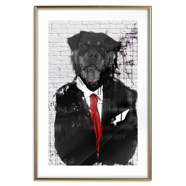 Poster Elegant Rottweiler - abstraction of a dog in a suit on a brick wall 130793 additionalImage 14