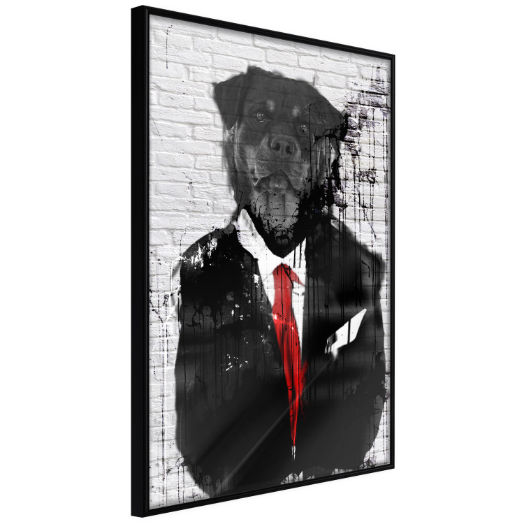 Poster Elegant Rottweiler - abstraction of a dog in a suit on a brick wall 130793 additionalImage 13