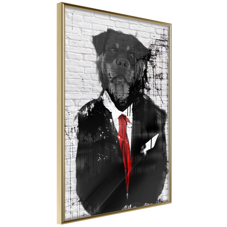 Poster Elegant Rottweiler - abstraction of a dog in a suit on a brick wall 130793 additionalImage 12