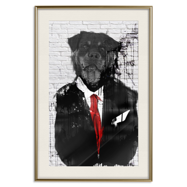 Poster Elegant Rottweiler - abstraction of a dog in a suit on a brick wall 130793 additionalImage 20