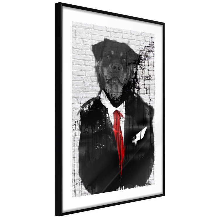Poster Elegant Rottweiler - abstraction of a dog in a suit on a brick wall 130793 additionalImage 8
