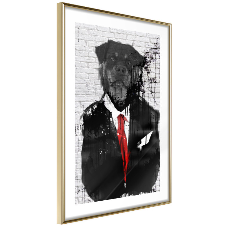 Poster Elegant Rottweiler - abstraction of a dog in a suit on a brick wall 130793 additionalImage 9