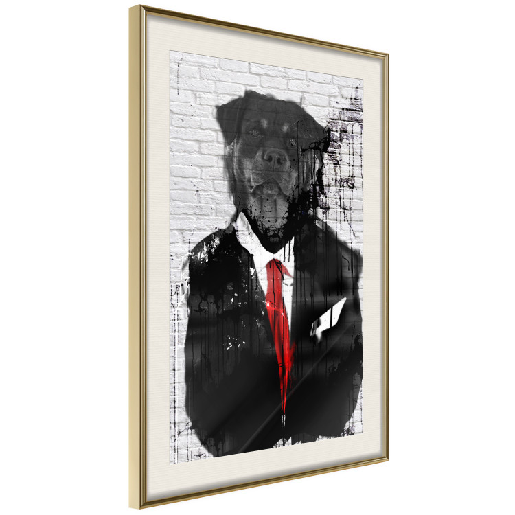 Poster Elegant Rottweiler - abstraction of a dog in a suit on a brick wall 130793 additionalImage 3