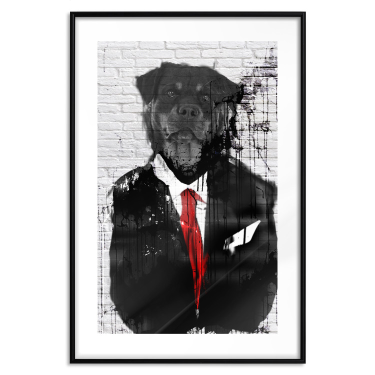 Poster Elegant Rottweiler - abstraction of a dog in a suit on a brick wall 130793 additionalImage 17