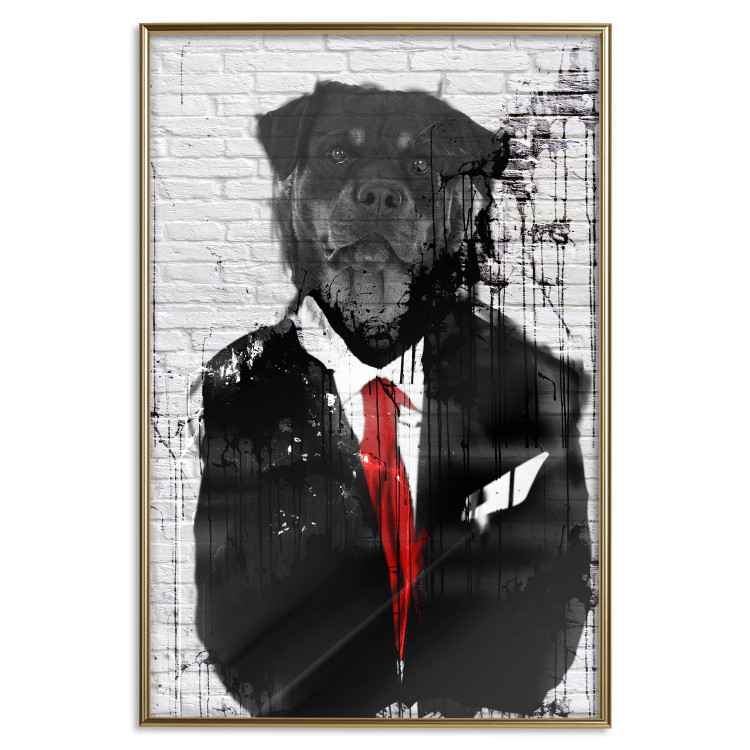Poster Elegant Rottweiler - abstraction of a dog in a suit on a brick wall 130793 additionalImage 21