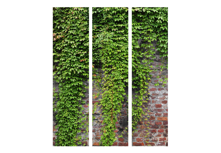 Room Separator Bricks and Ivy (3-piece) - green plant leaves cascading on a wall 132793 additionalImage 3