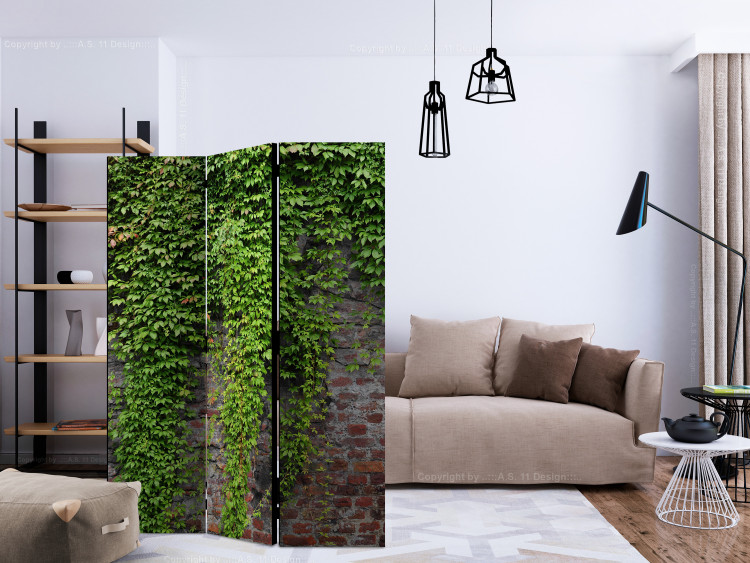 Room Separator Bricks and Ivy (3-piece) - green plant leaves cascading on a wall 132793 additionalImage 4