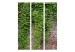 Room Separator Bricks and Ivy (3-piece) - green plant leaves cascading on a wall 132793 additionalThumb 3