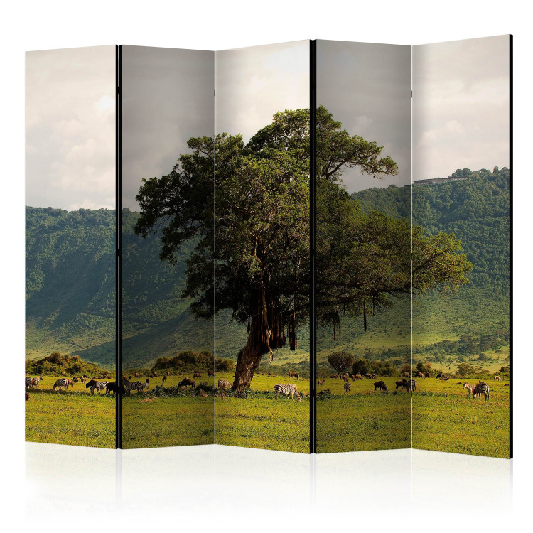 Folding Screen In a Crater of Ngorongoro II (5-piece) - landscape of mountains and grass 132893