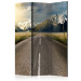 Room Separator Long Road (3-piece) - asphalt road and snowy mountains in the background 133193