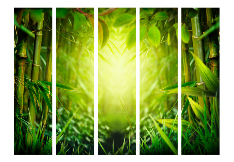 Folding Screen Forest Fairy II - green landscape of bamboo forest with bright light 133993 additionalImage 3