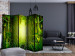 Folding Screen Forest Fairy II - green landscape of bamboo forest with bright light 133993 additionalThumb 4