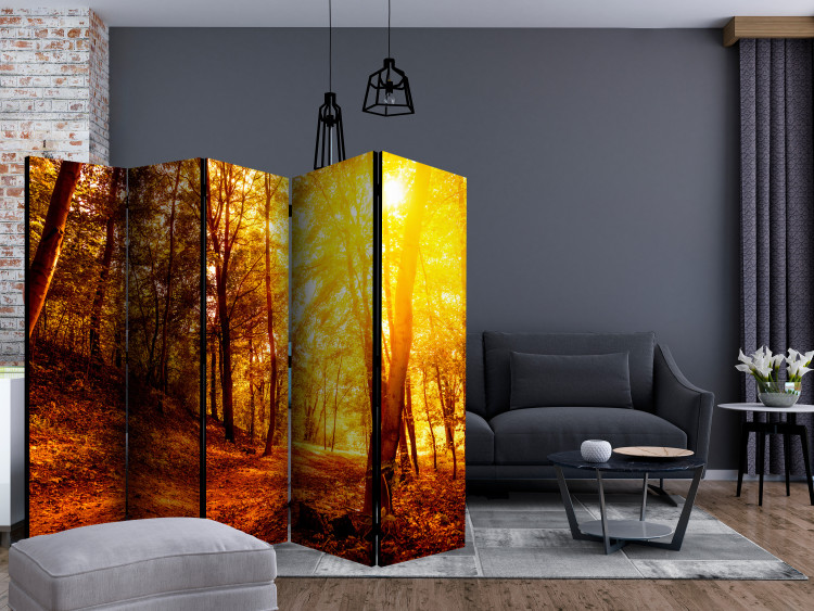 Folding Screen Autumn Stroll II - landscape of golden autumn tree scenery 134093 additionalImage 4
