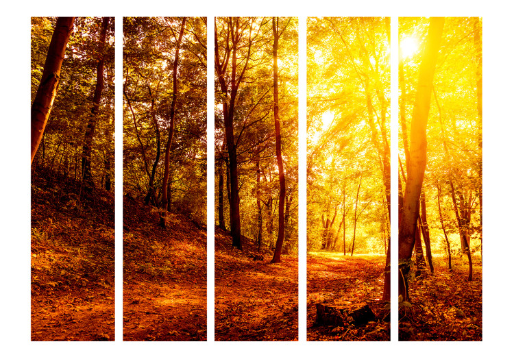 Folding Screen Autumn Stroll II - landscape of golden autumn tree scenery 134093 additionalImage 3