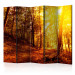 Folding Screen Autumn Stroll II - landscape of golden autumn tree scenery 134093