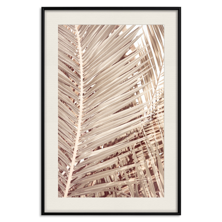 Wall Poster Beige Palm - composition of tropical palm leaves in golden hue 135293 additionalImage 23