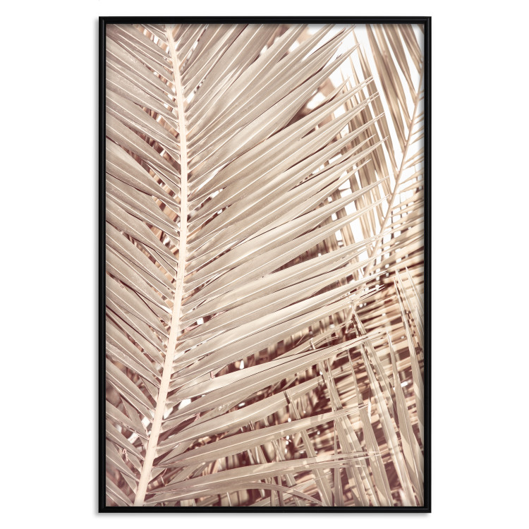 Wall Poster Beige Palm - composition of tropical palm leaves in golden hue 135293 additionalImage 3