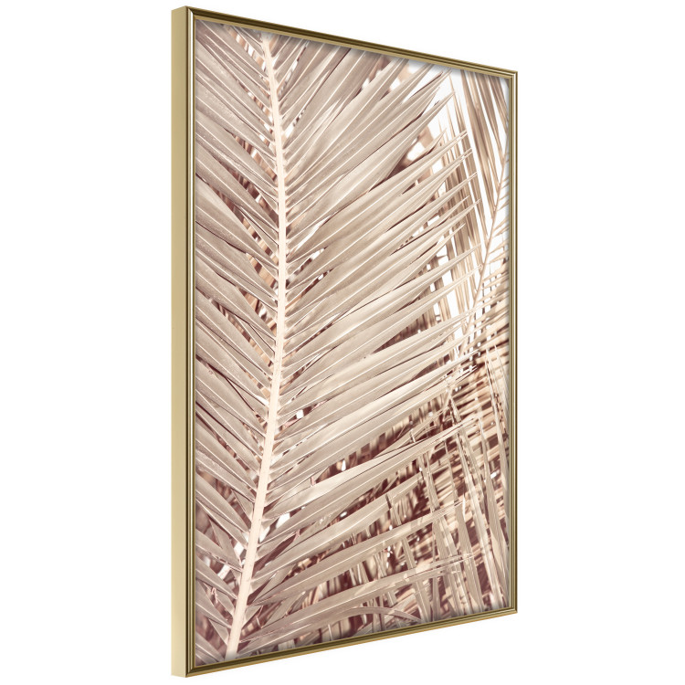Wall Poster Beige Palm - composition of tropical palm leaves in golden hue 135293 additionalImage 13