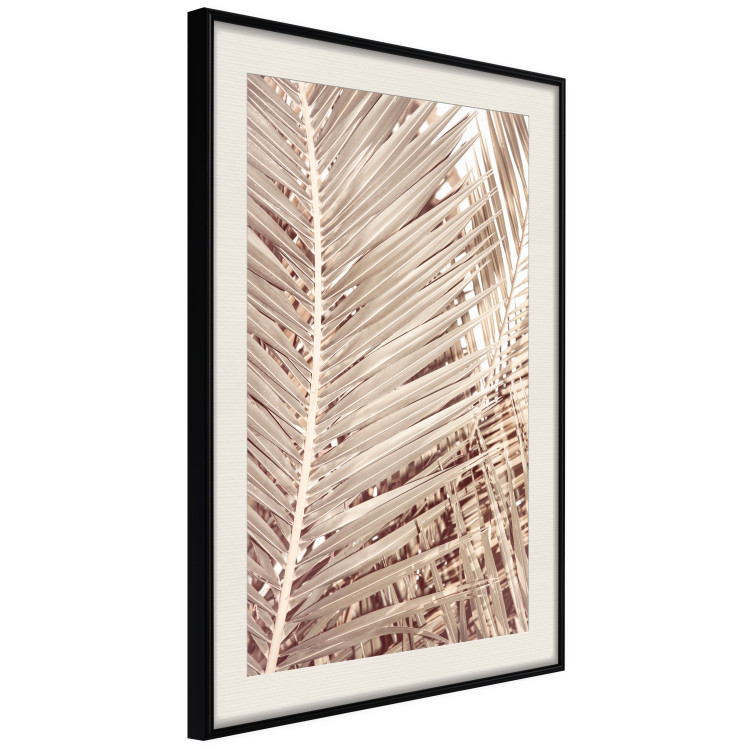 Wall Poster Beige Palm - composition of tropical palm leaves in golden hue 135293 additionalImage 15