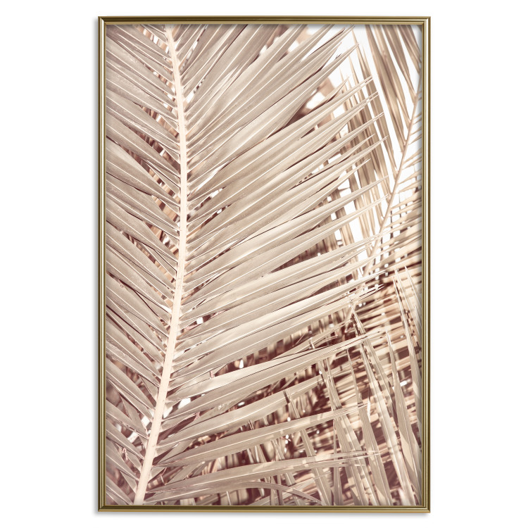 Wall Poster Beige Palm - composition of tropical palm leaves in golden hue 135293 additionalImage 27