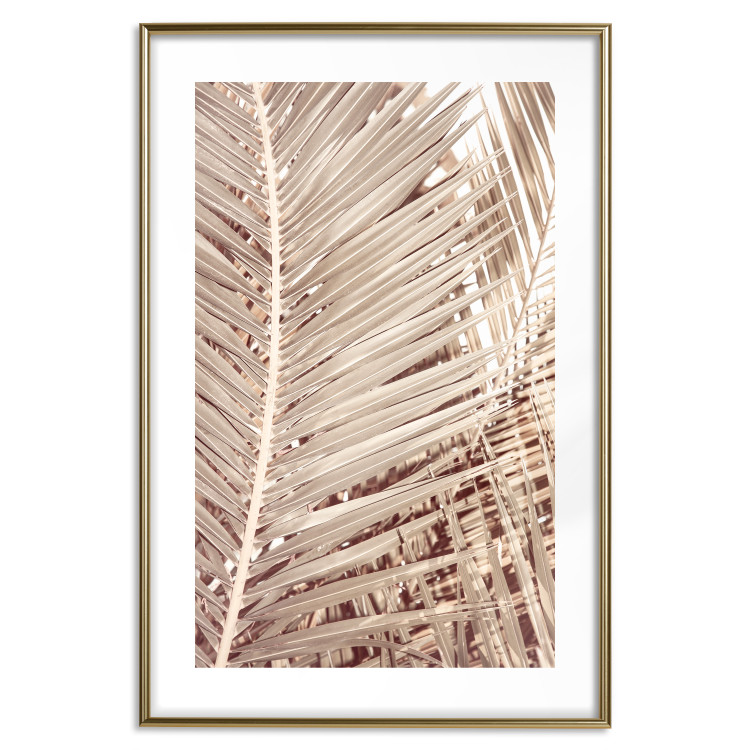Wall Poster Beige Palm - composition of tropical palm leaves in golden hue 135293 additionalImage 17