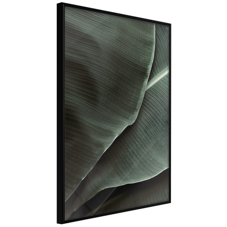Poster Green Serenity - luxurious composition of leaves with distinct texture 135593 additionalImage 15