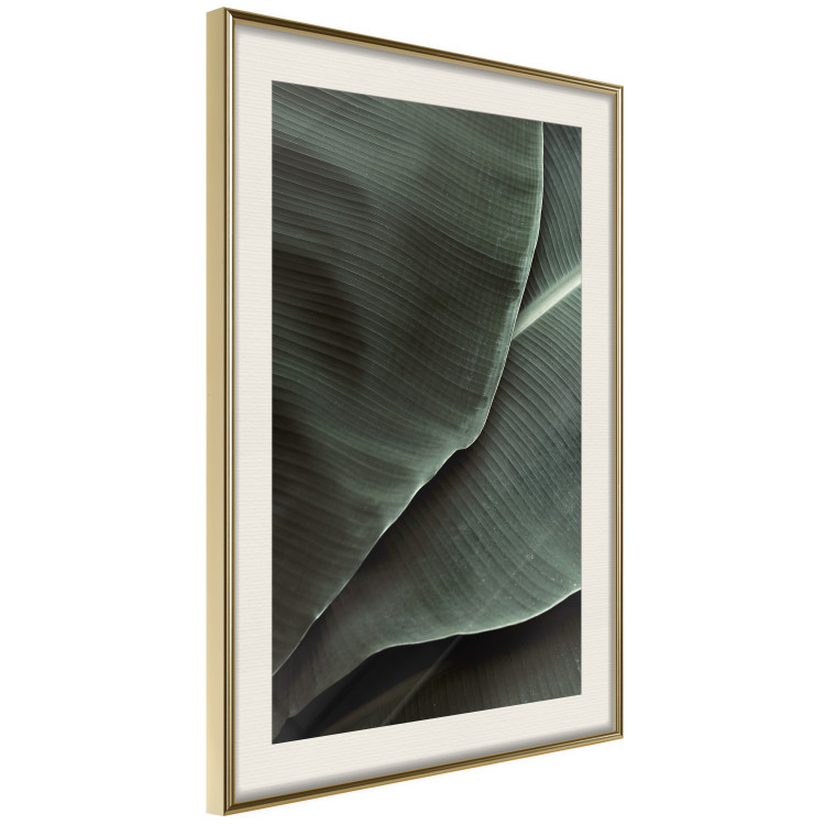 Poster Green Serenity - luxurious composition of leaves with distinct texture 135593 additionalImage 15