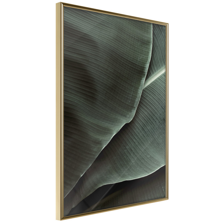Poster Green Serenity - luxurious composition of leaves with distinct texture 135593 additionalImage 13
